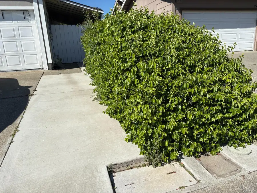 2772 Toland Drive, Fairfield, CA 94534 - #3