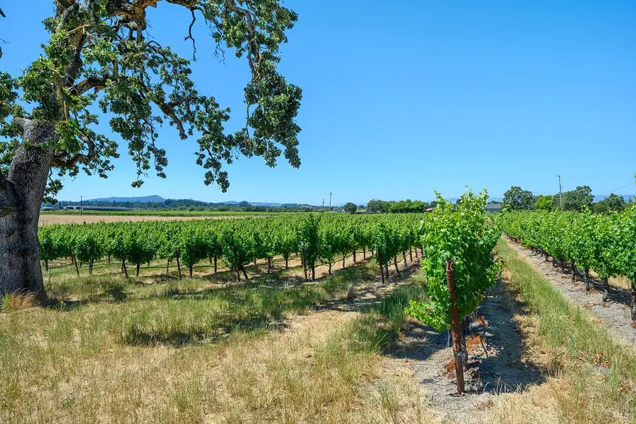 5726 Hall Road, Santa Rosa, CA 95401 - #2