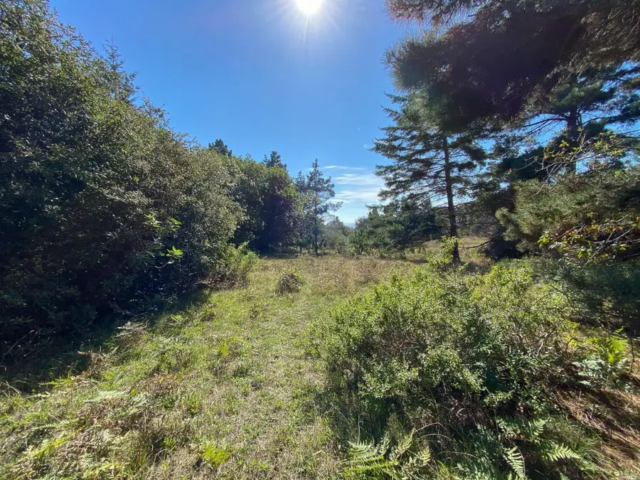 41179 Deer Trail, The Sea Ranch, CA 95497 - #2
