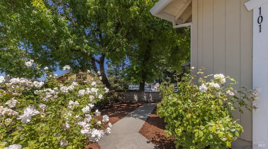 101 Miller Court, Petaluma, CA 94954 - #3