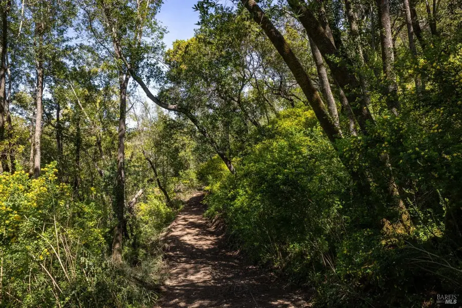 141 Granlee Road, San Rafael, CA 94903 - #3