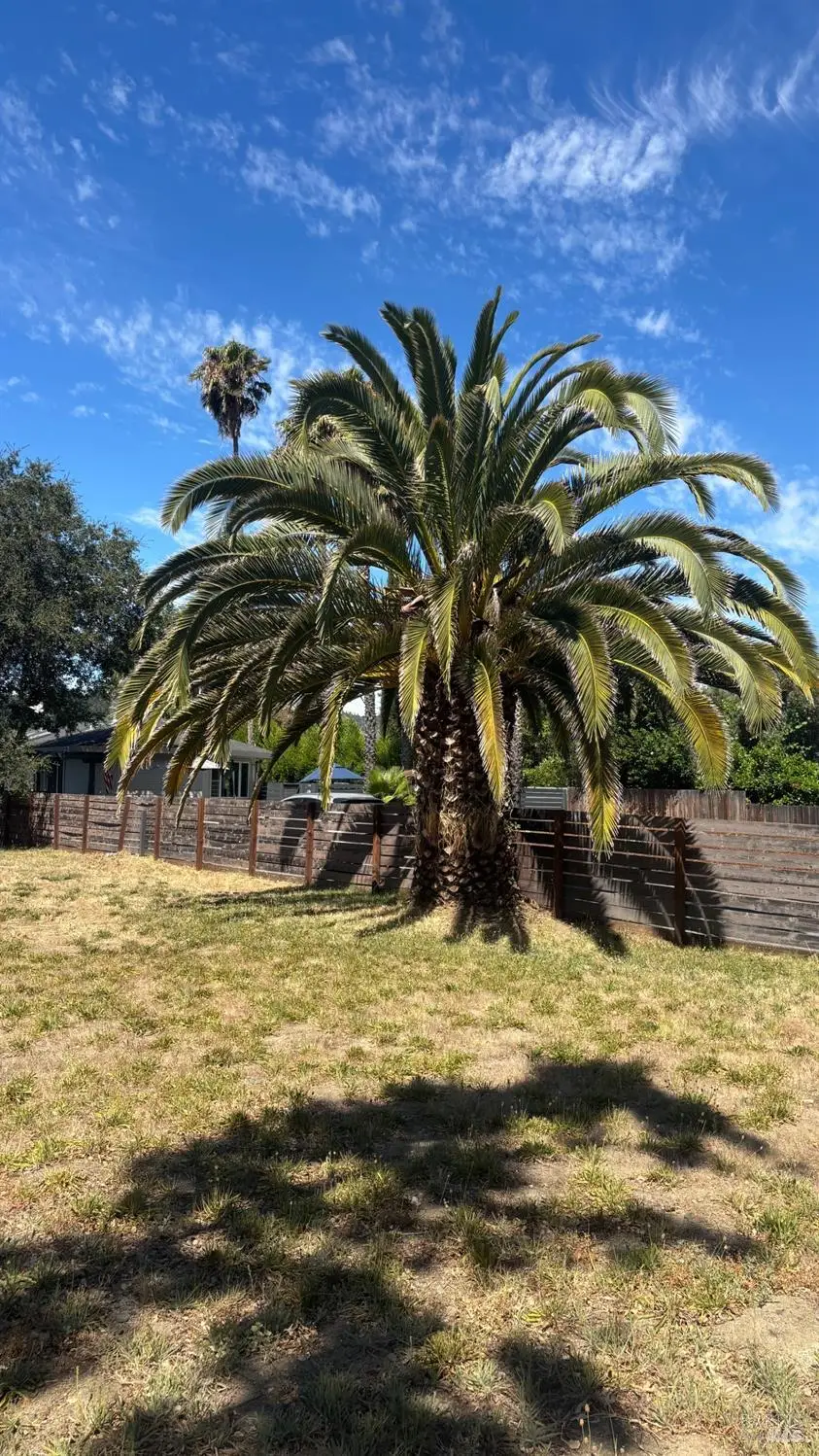3049 Myrtledale Road, Calistoga, CA 94515 - #3