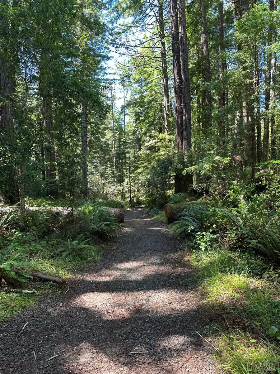 10181 Sorcerer Wood, The Sea Ranch, CA 95497 - #3