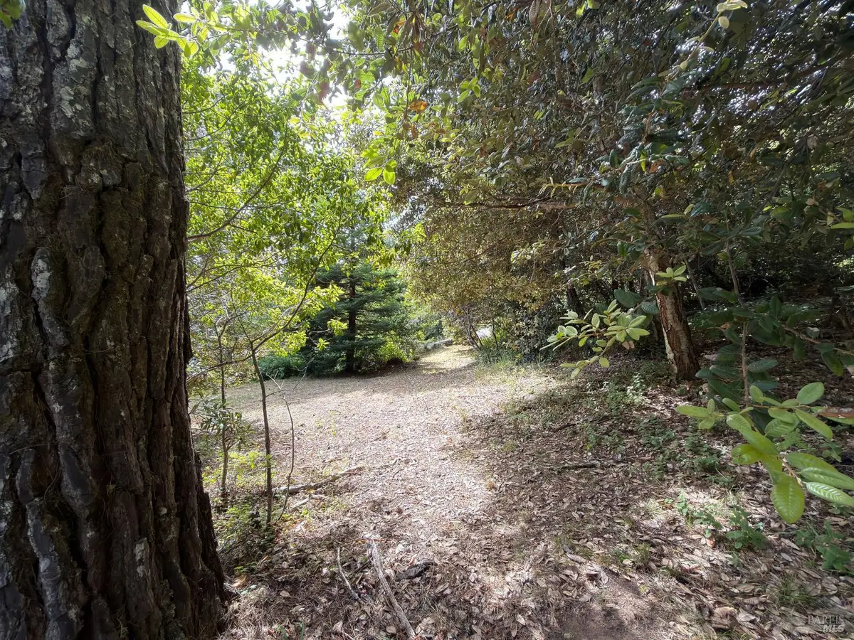 76 Compass Close, The Sea Ranch, CA 95497 - #1