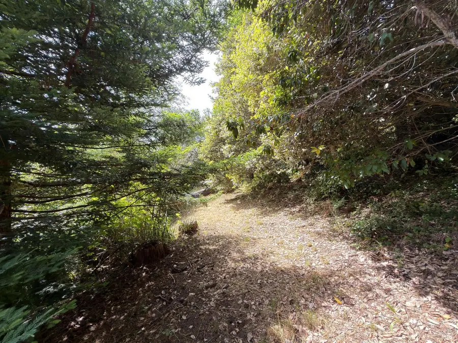 76 Compass Close, The Sea Ranch, CA 95497 - #3