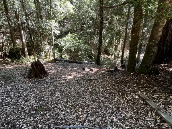 24413 Rose Terrace, Willits, CA 95490