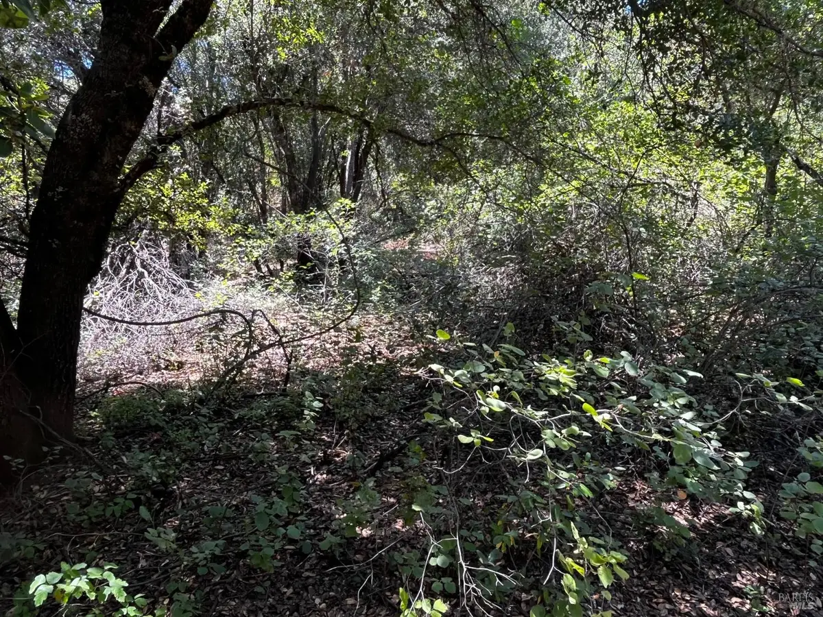 5768 Vallejo Avenue, Clearlake, CA 95422 - #1