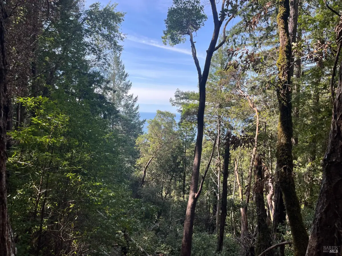 30055 Seaview Road, Cazadero, CA 95421 - #1