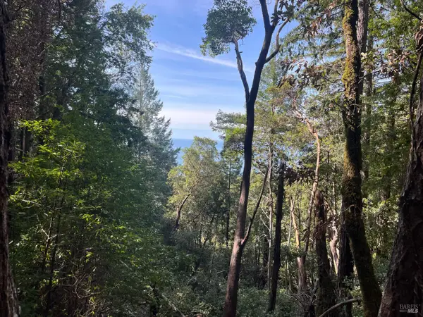 30055 Seaview Road, Cazadero, CA 95421