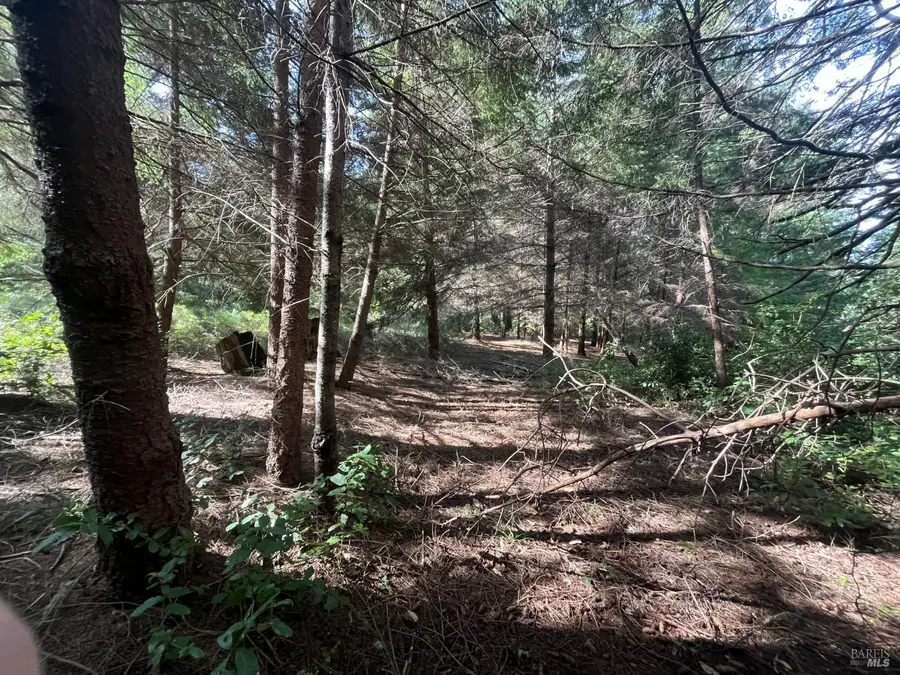30055 Seaview Road, Cazadero, CA 95421 - #2