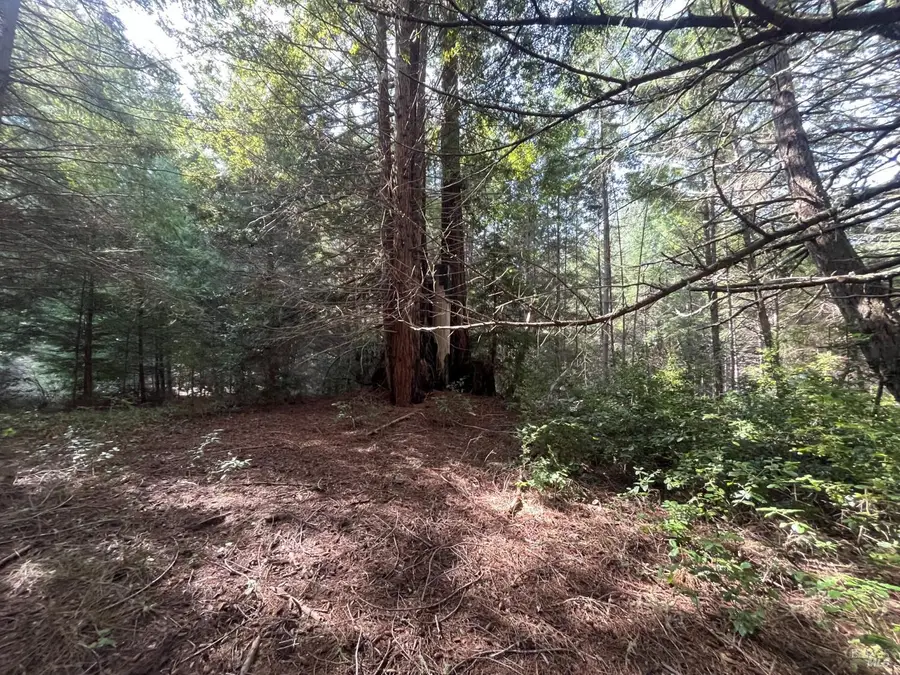 30055 Seaview Road, Cazadero, CA 95421 - #3