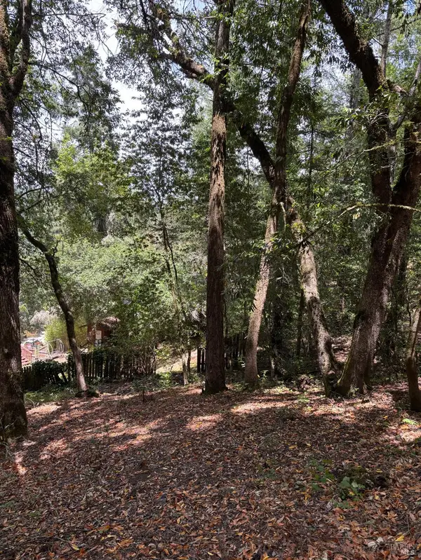 9868 Hillside Drive, Forestville, CA 95436