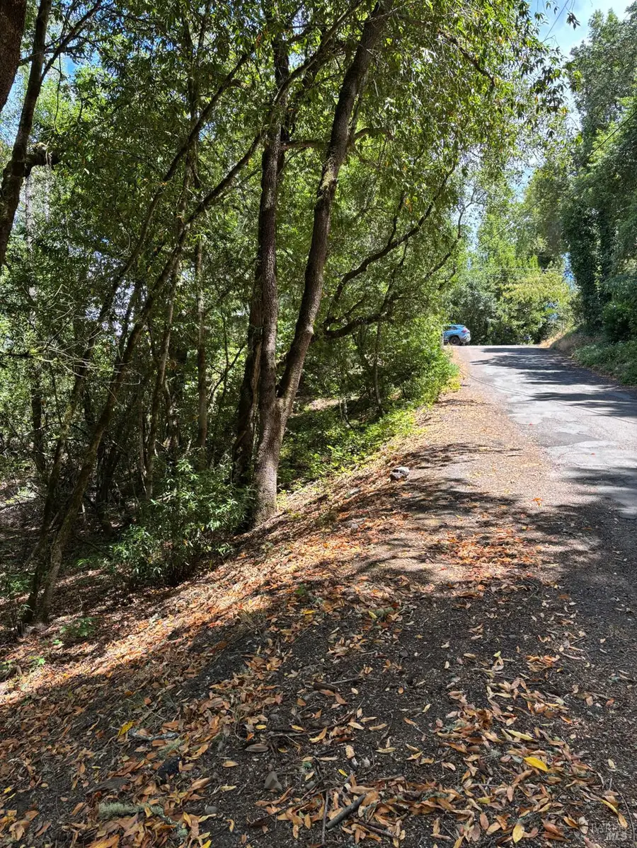 9868 Hillside Drive, Forestville, CA 95436 - #2