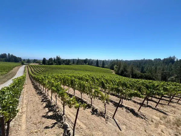 11480 Graton Road, Sebastopol, CA 95472
