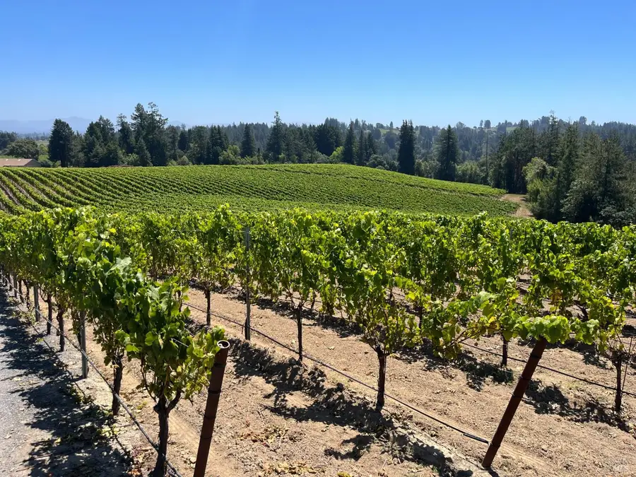 11480 Graton Road, Sebastopol, CA 95472 - #2