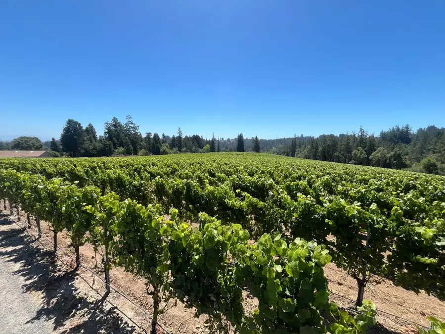 11480 Graton Road, Sebastopol, CA 95472 - #3