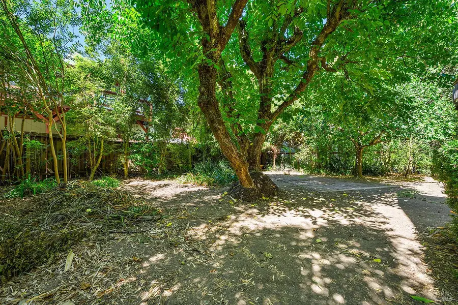 10590 Grays Road, Forestville, CA 95436 - #3