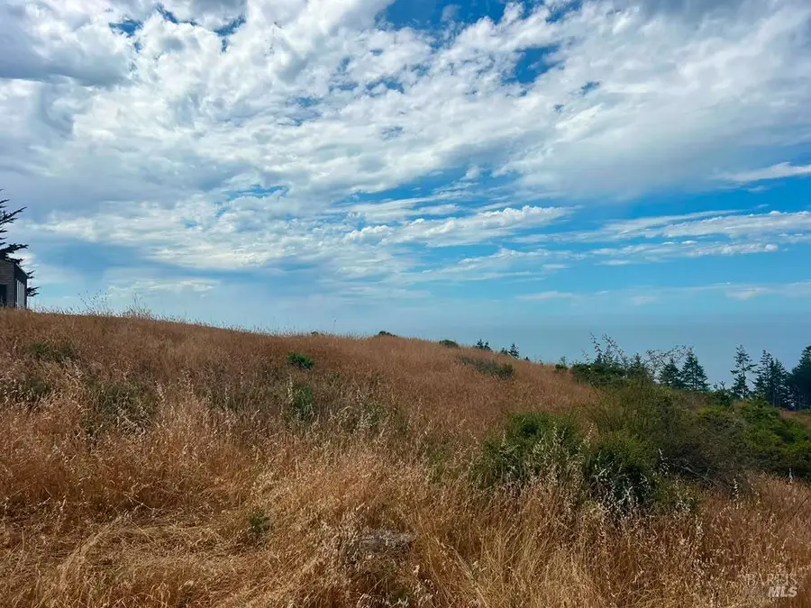 449 Drovers, The Sea Ranch, CA 95497 - #3