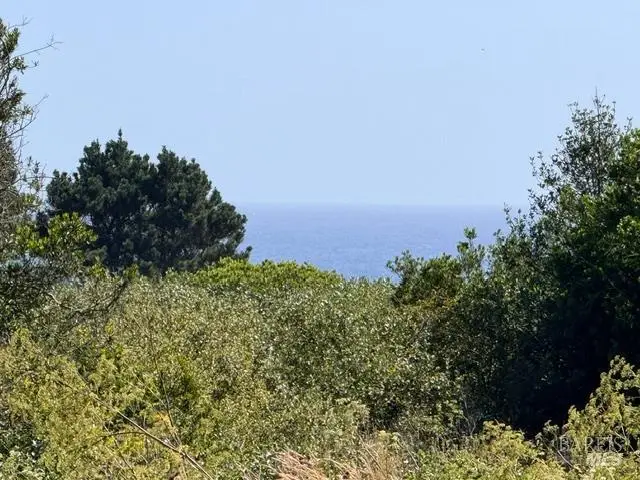 44961 Main Street, Mendocino, CA 95460 - #3