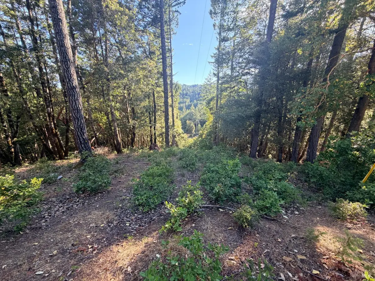 24193 Willow Lane, Willits, CA 95490 - #1