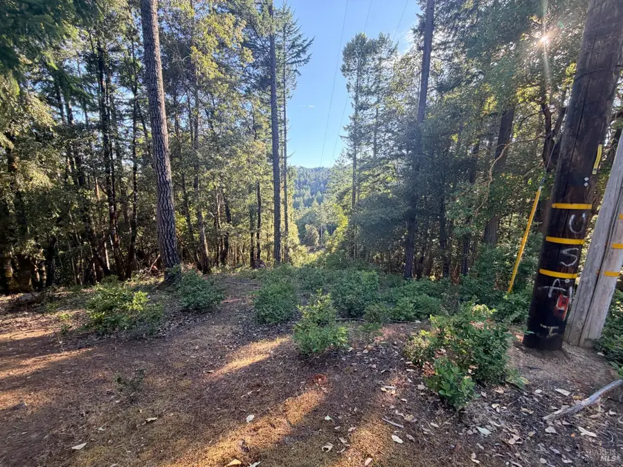 24193 Willow Lane, Willits, CA 95490 - #3