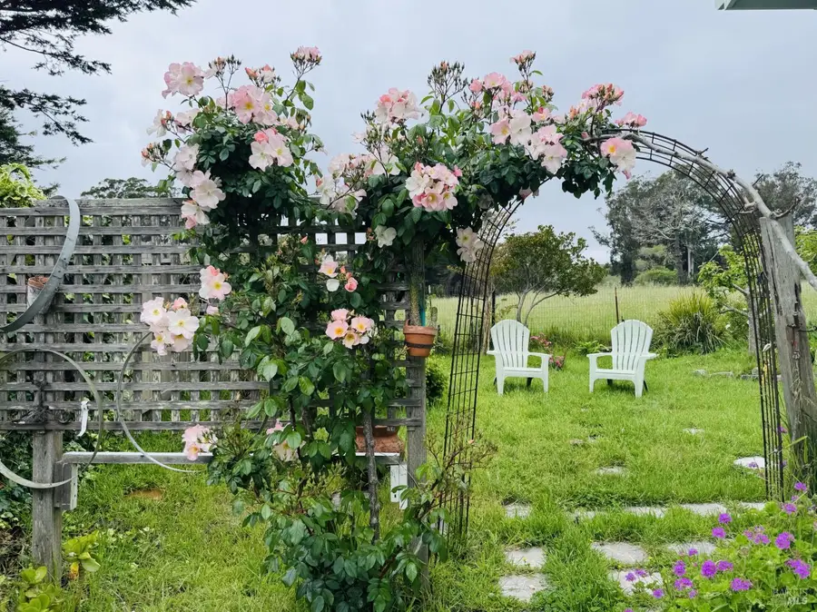 39 Carrie Street, Tomales, CA 94971 - #2