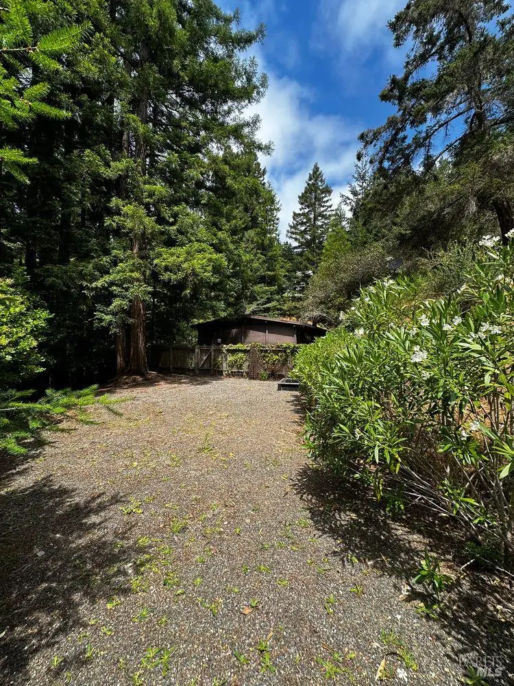 974 Lovell Avenue, Mill Valley, CA 94941 - #2
