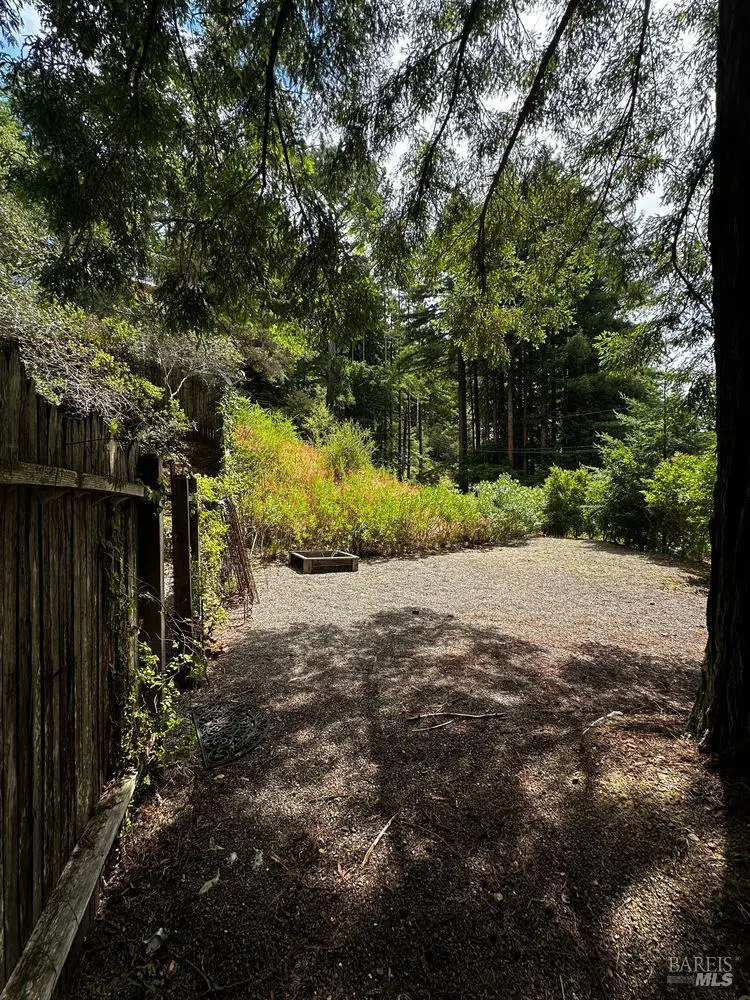 974 Lovell Avenue, Mill Valley, CA 94941 - #3