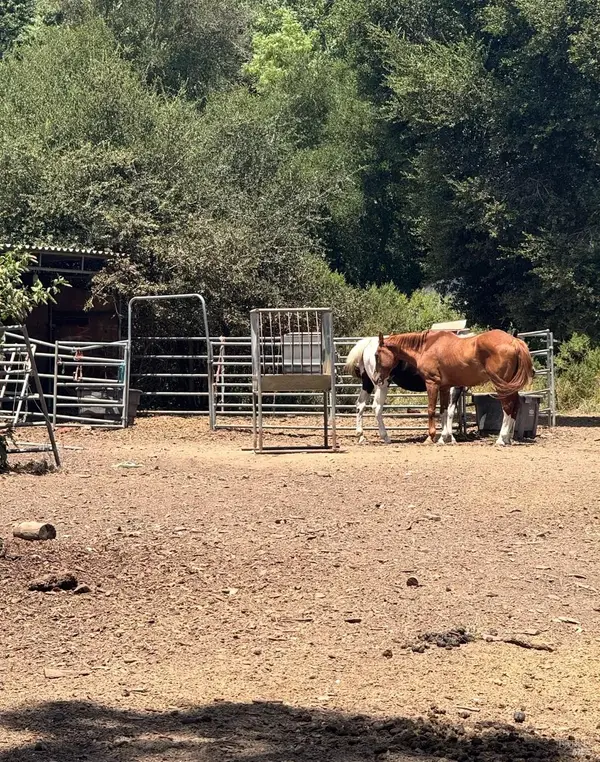 12847 Dunbar Road, Glen Ellen, CA 95442