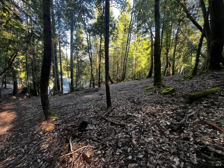 2234 Otter Place, Willits, CA 95490 - #2