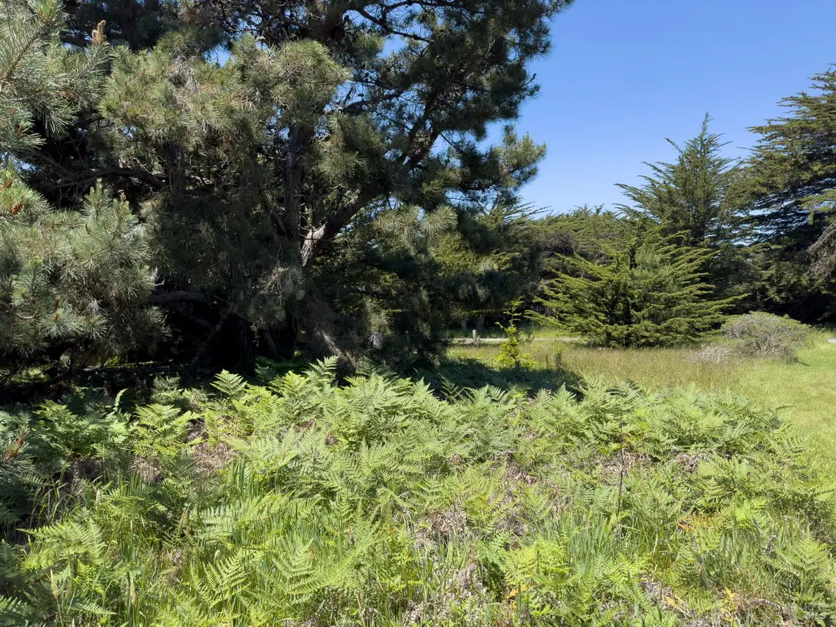 41889 Leeward Road, The Sea Ranch, CA 95497 - #1