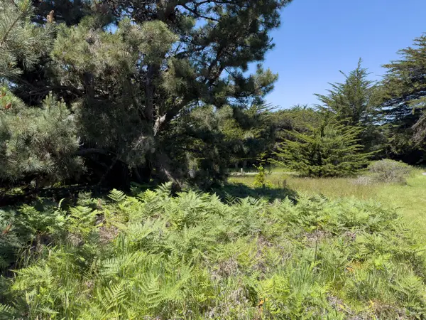 41889 Leeward Road, The Sea Ranch, CA 95497