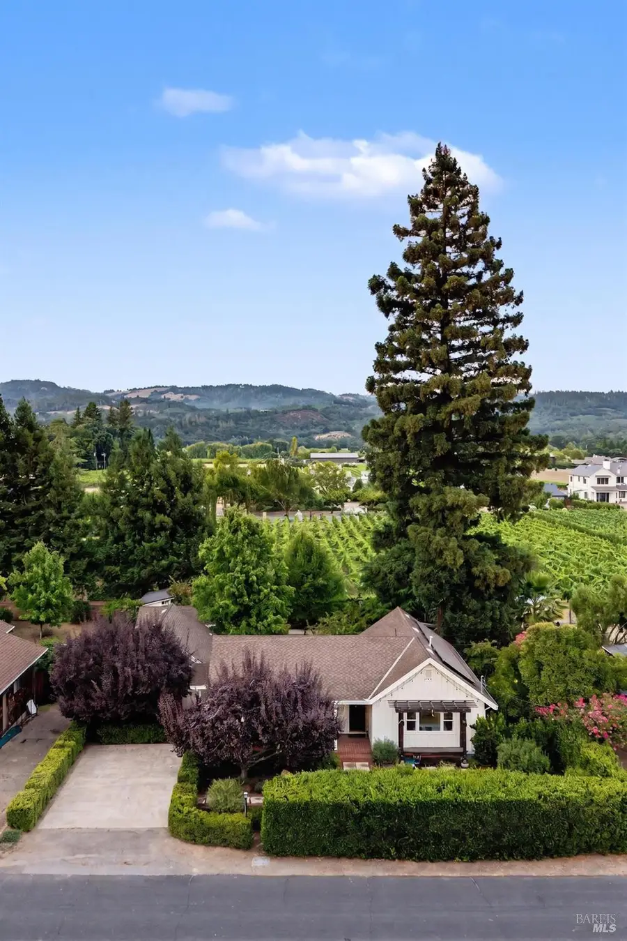 1170 Mountain View Avenue, Saint Helena, CA 94574 - #3