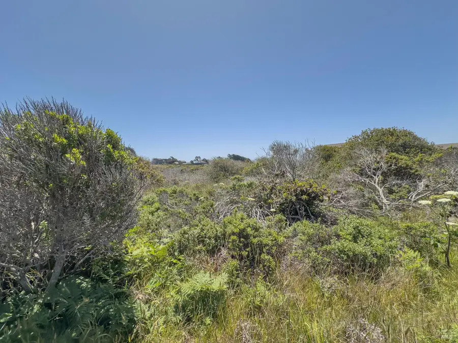 56 Sea Meadow Drive, The Sea Ranch, CA 95497 - #3