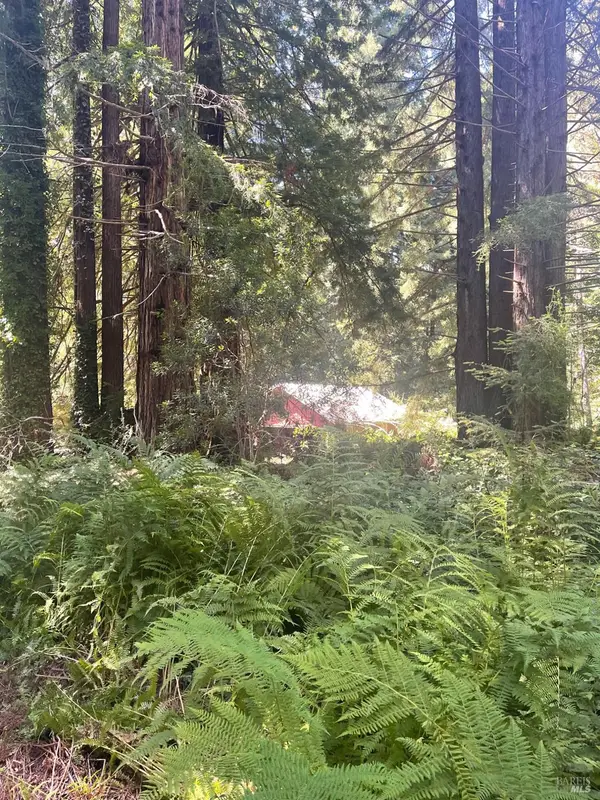 29500 Albion Ridge Road, Albion, CA 95410