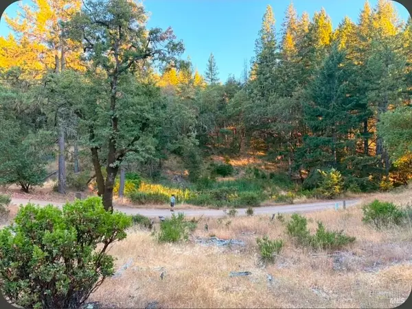 Address Withheld By Seller, Willits, CA 95490