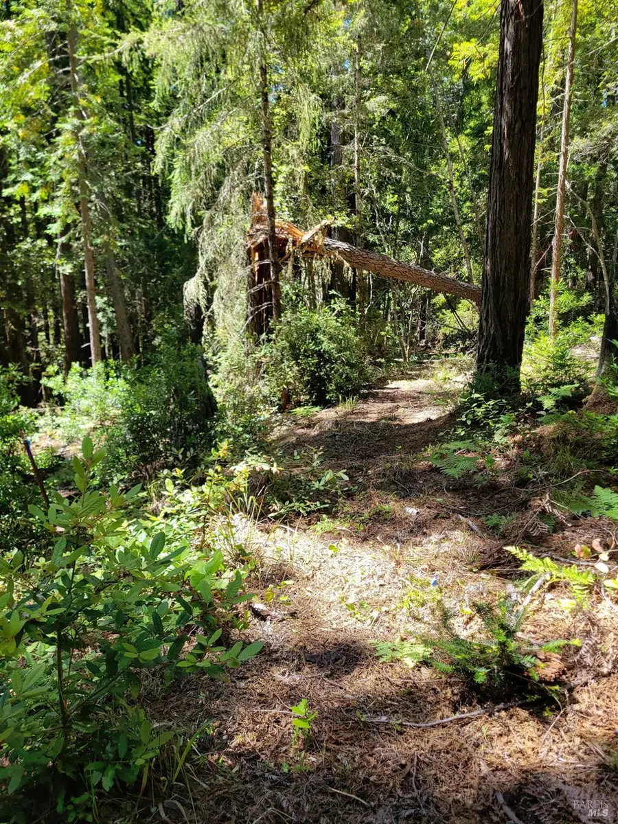 35320 Crows Nest Drive, The Sea Ranch, CA 95497 - #3