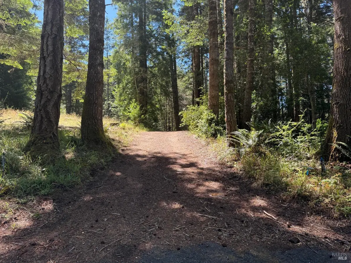 35206 Fly Cloud Road, The Sea Ranch, CA 95497 - #1