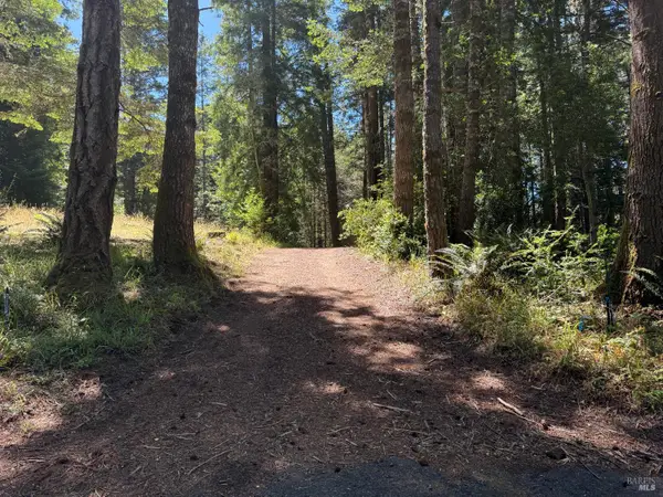 35206 Fly Cloud Road, The Sea Ranch, CA 95497