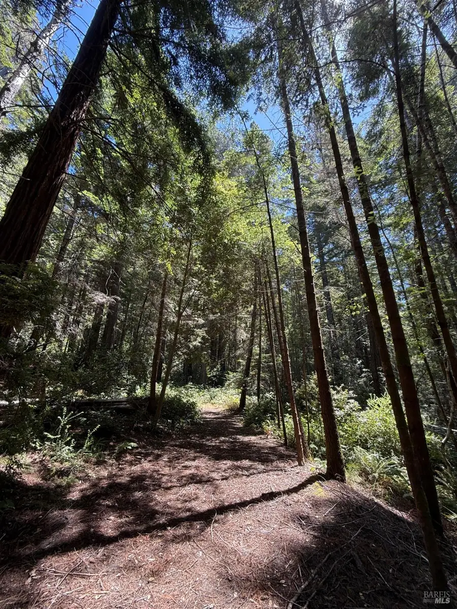 35206 Fly Cloud Road, The Sea Ranch, CA 95497 - #3