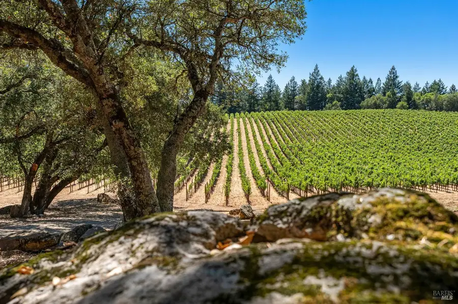 1075 Greenfield Road, Saint Helena, CA 94574 - #3
