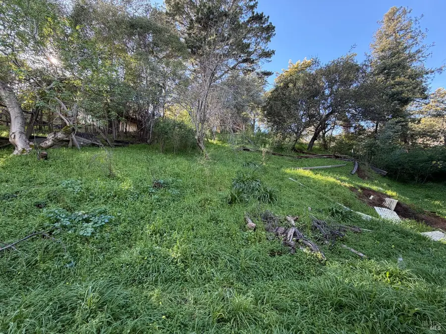59 Clayton Street, San Rafael, CA 94901 - #2