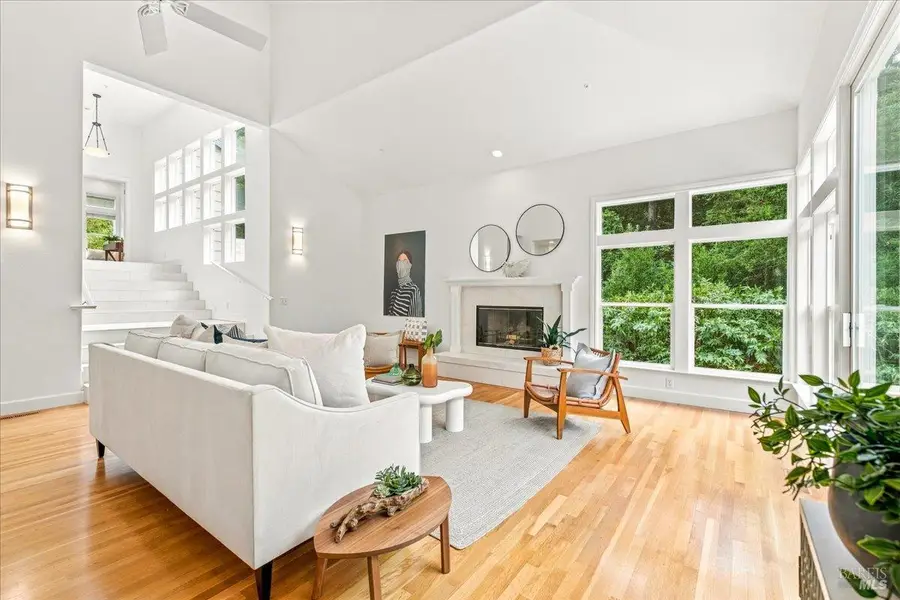 61 Terrace Avenue, San Rafael, CA 94901 - #3