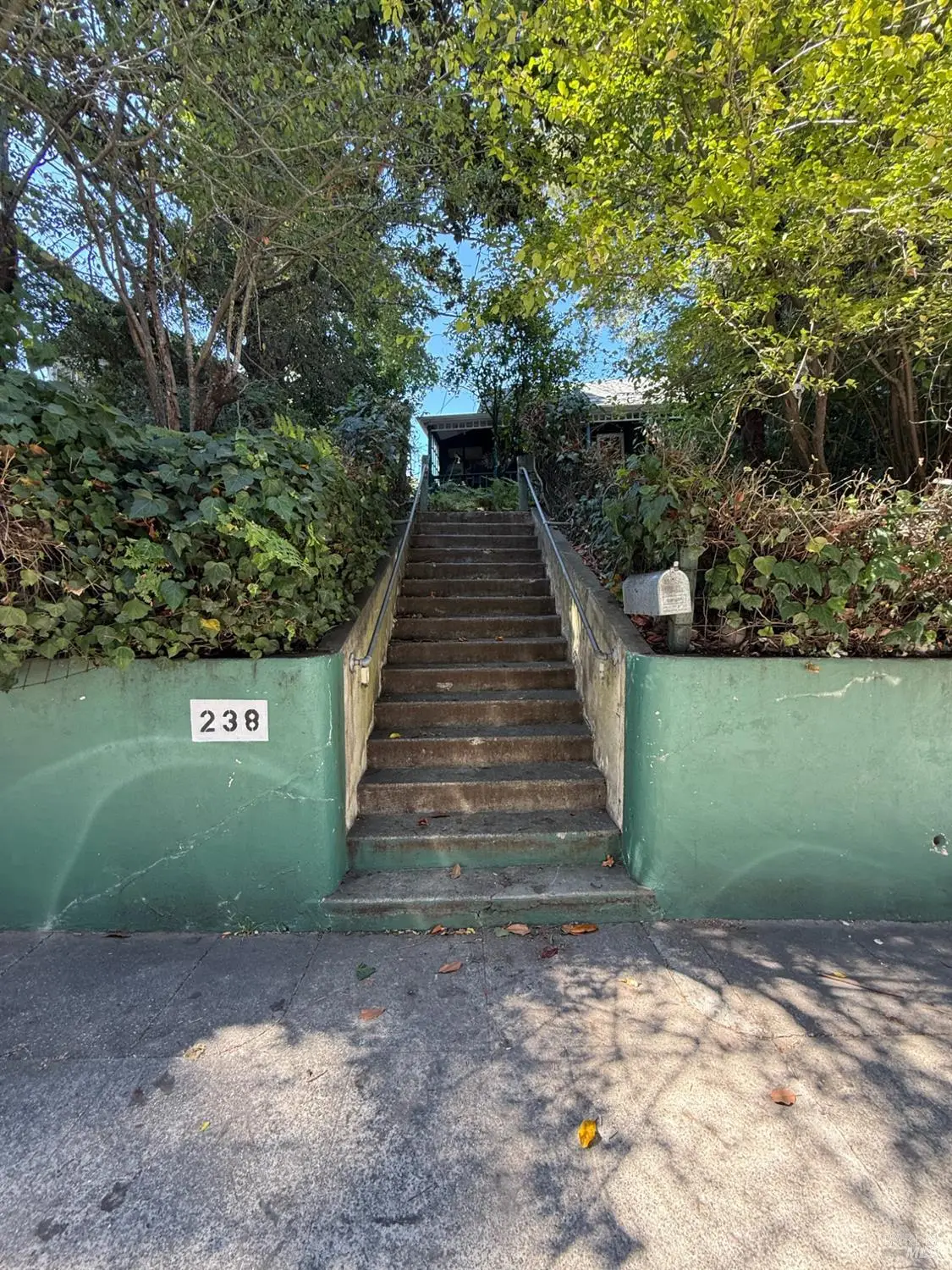 238 Throckmorton Avenue, Mill Valley, CA 94941 - #1