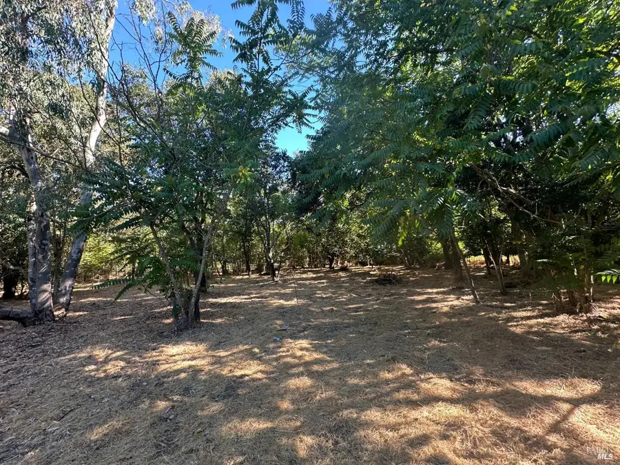 250 Napa Road, Sonoma, CA 95476 - #2
