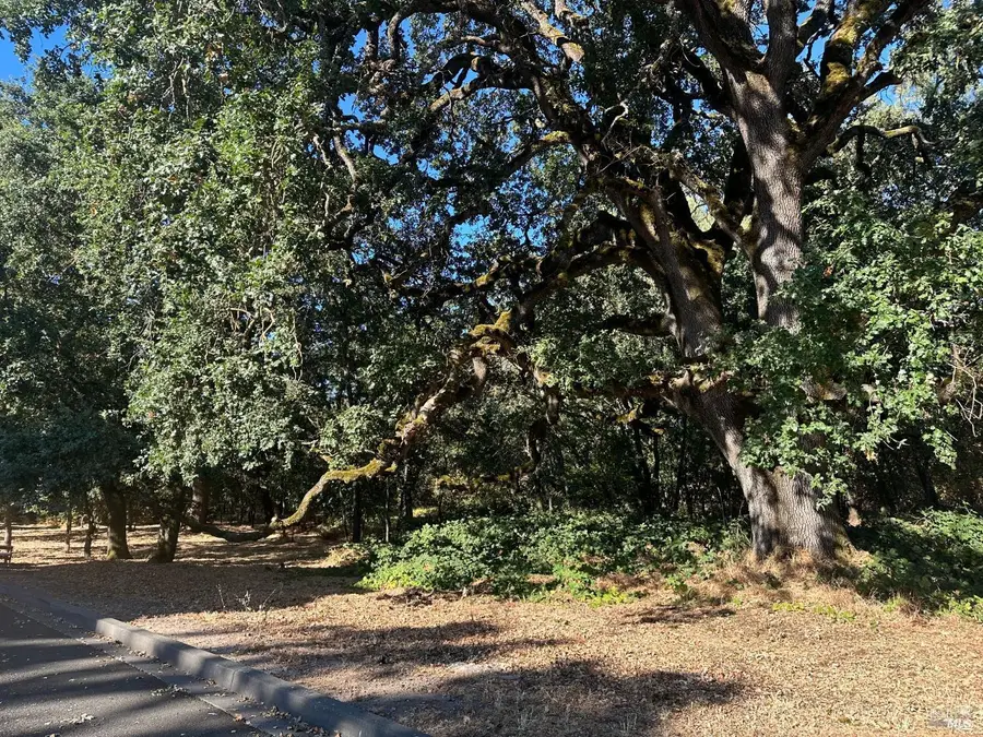250 Napa Road, Sonoma, CA 95476 - #3