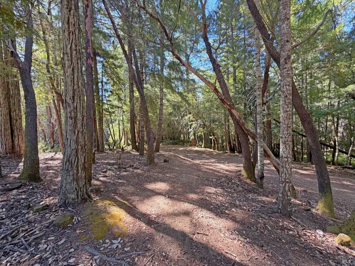 25023 Robin Circle, Willits, CA 95490 - #1