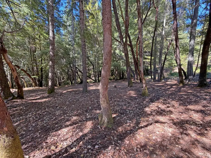 25023 Robin Circle, Willits, CA 95490 - #3