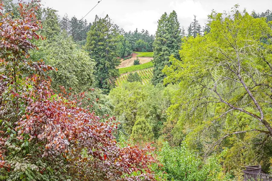 9412 Westside Road, Forestville, CA 95436 - #3