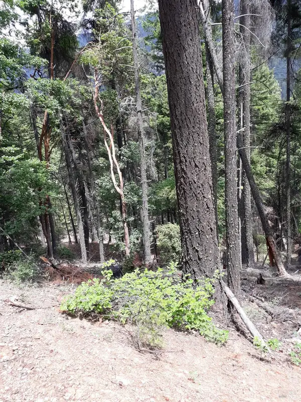 0 Cecilville Road, Forks Of Salmon, CA 96031